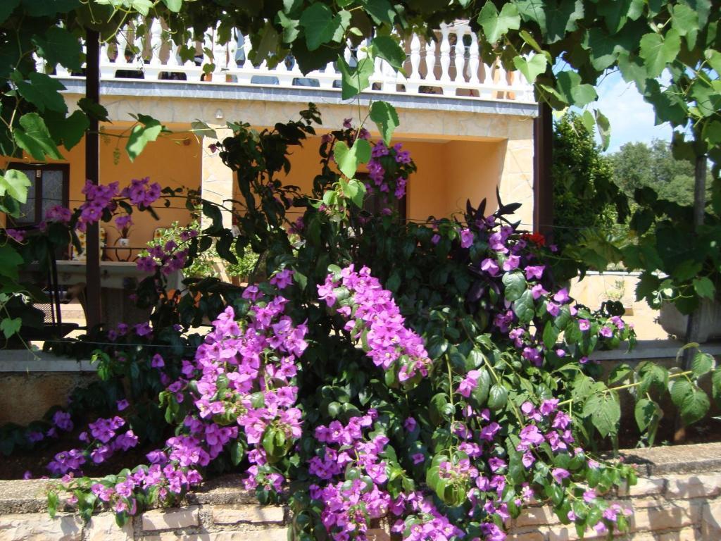 Apartments Alice Green Oasis - Poreč Oda fotoğraf