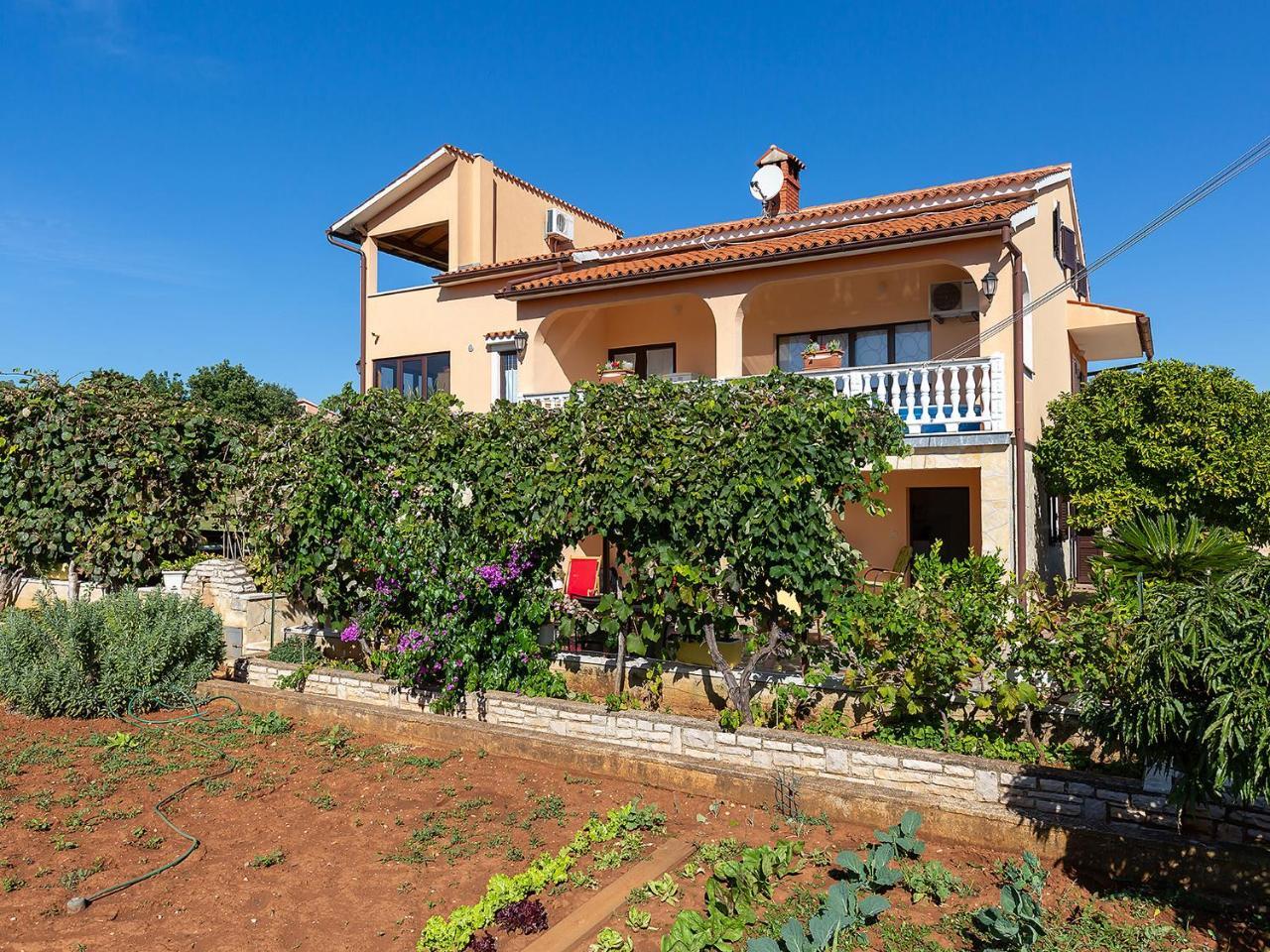 Apartments Alice Green Oasis - Poreč Dış mekan fotoğraf